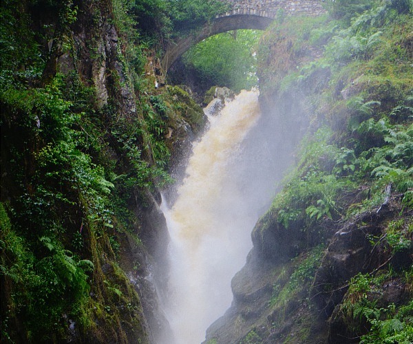 Aira Force