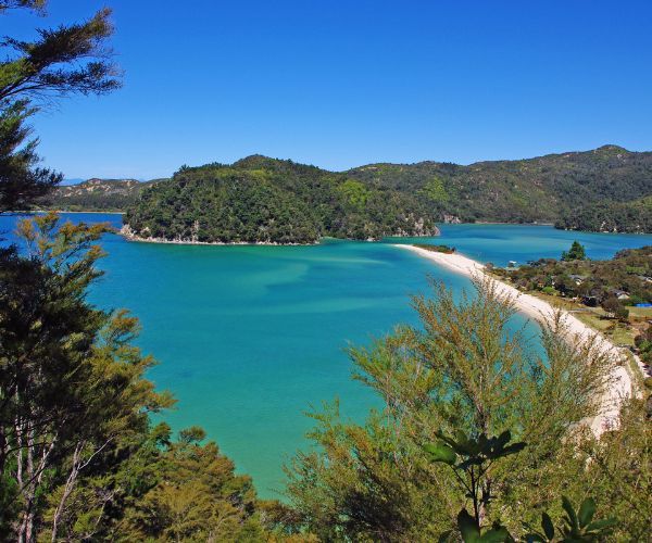 Green forest, white sand, turquoise water.