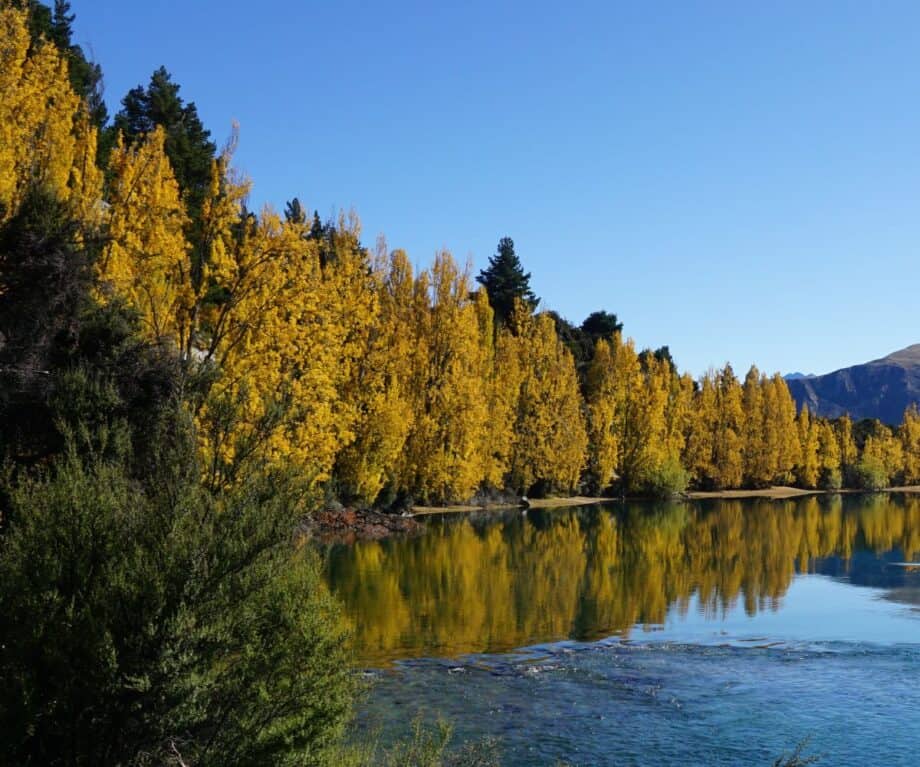 Wanaka in autumn